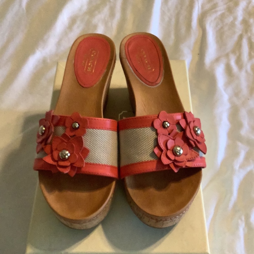 Coach slides